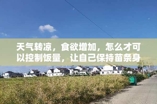 天气转凉，食欲增加，怎么才可以控制饭量，让自己保持苗条身材？