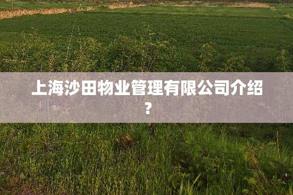 上海沙田物业管理有限公司介绍？