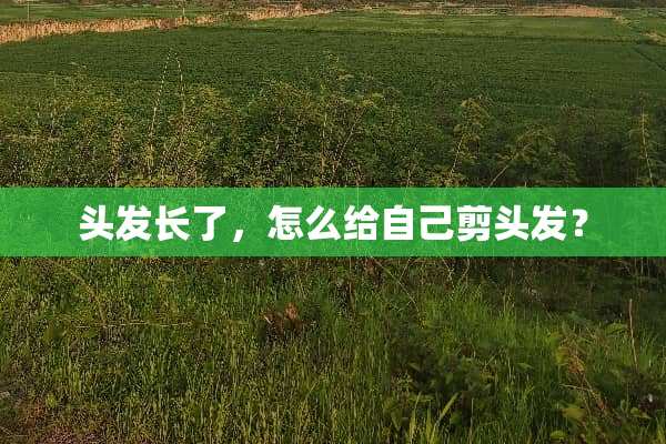 头发长了，怎么给自己剪头发？