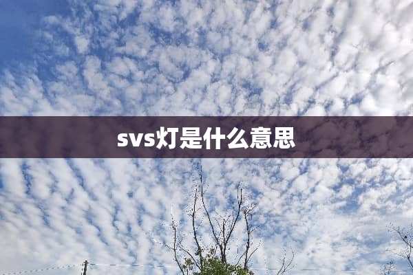 svs灯是什么意思