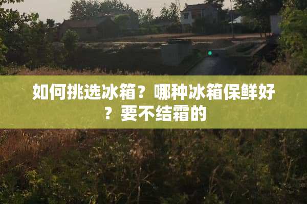 如何挑选冰箱？哪种冰箱保鲜好？要不结霜的