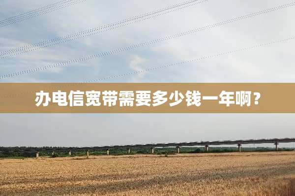 办电信宽带需要多少钱一年啊？