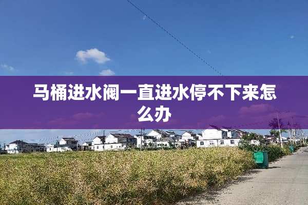 马桶进水阀一直进水停不下来怎么办
