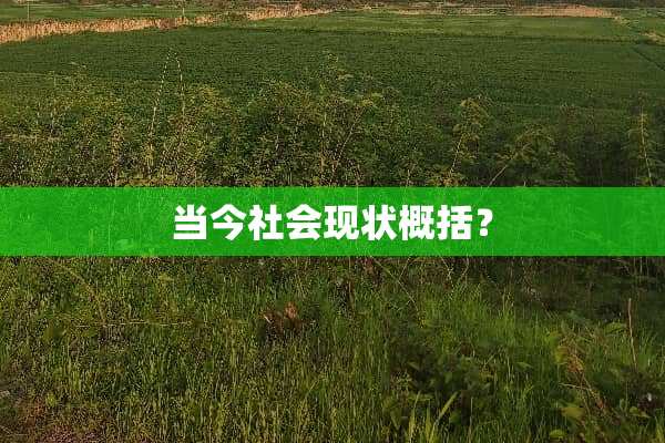 当今社会现状概括？