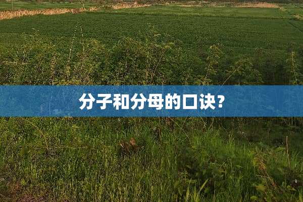 分子和分母的口诀？