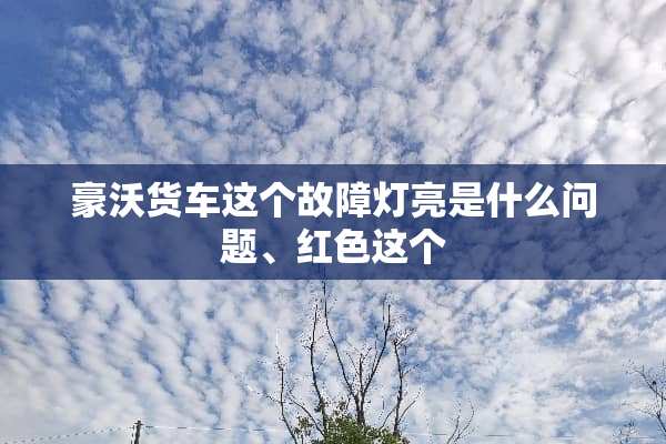 豪沃货车这个故障灯亮是什么问题、红色这个