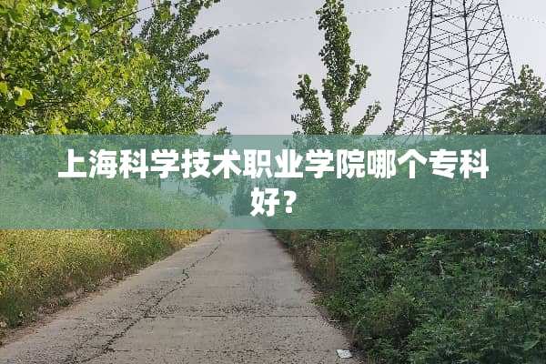 上海科学技术职业学院哪个专科好？