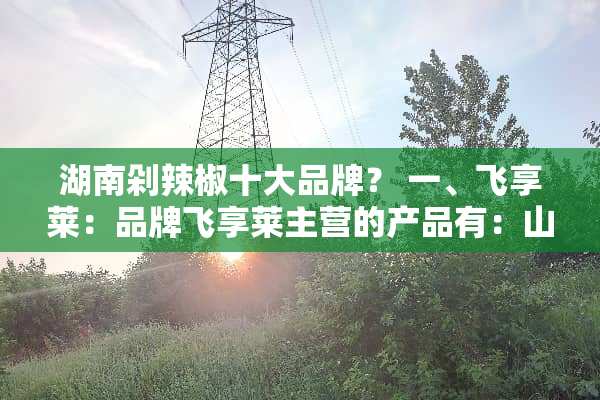 湖南剁辣椒十大品牌？ 一、飞享莱：品牌飞享莱主营的产品有：山楂丝