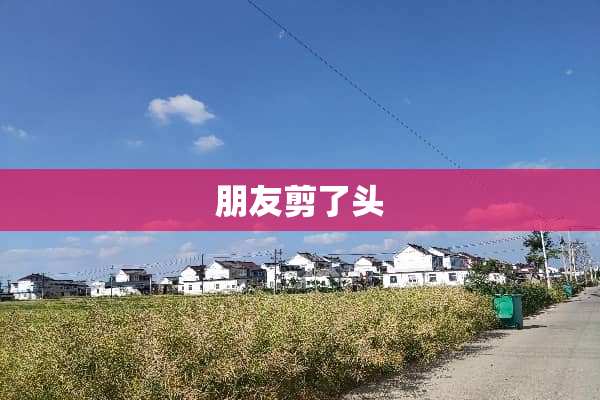 朋友剪了头