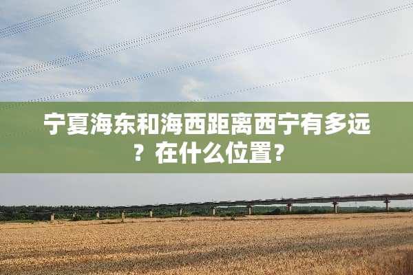宁夏海东和海西距离西宁有多远？在什么位置？