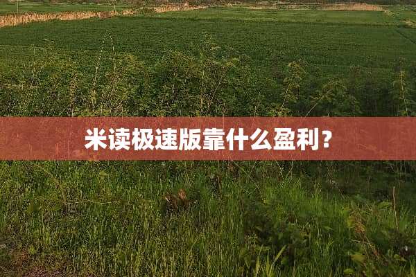 米读极速版靠什么盈利？