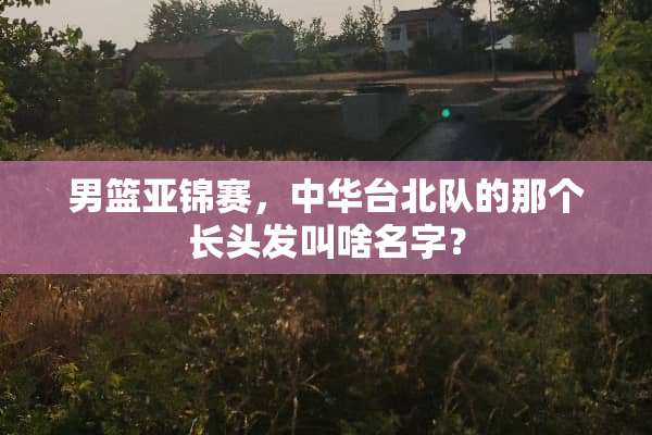 男篮亚锦赛，中华台北队的那个长头发叫啥名字？