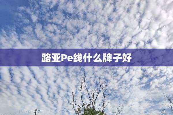 路亚Pe线什么牌子好