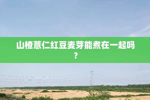 山楂薏仁红豆麦芽能煮在一起吗？