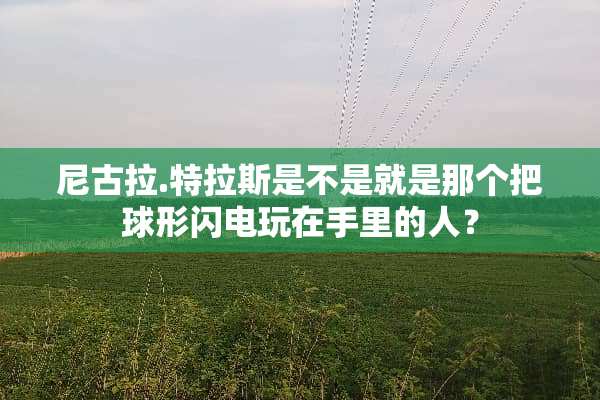 尼古拉.特拉斯是不是就是那个把球形闪电玩在手里的人？