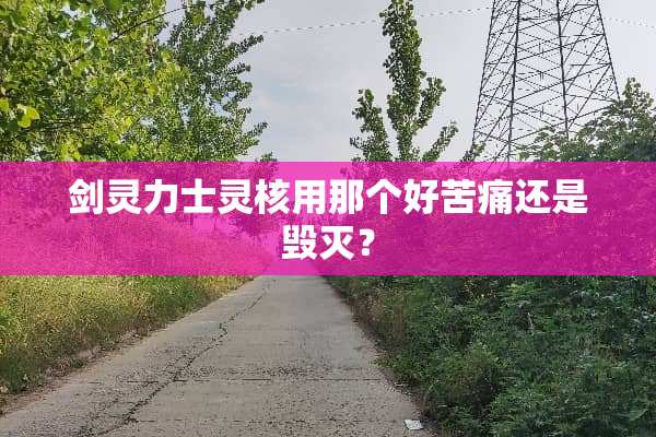 剑灵力士灵核用那个好苦痛还是毁灭？