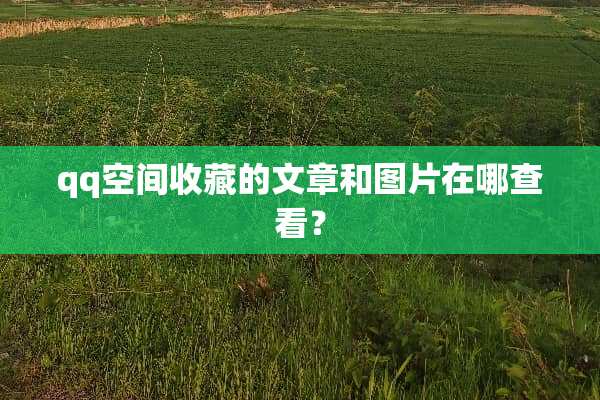 qq空间收藏的文章和图片在哪查看？