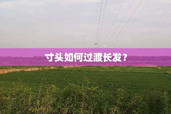 寸头如何过渡长发？