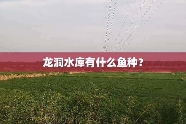 龙洞水库有什么鱼种？