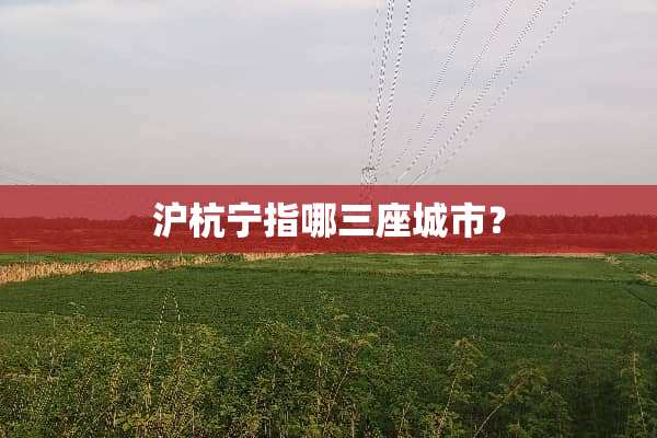 沪杭宁指哪三座城市？