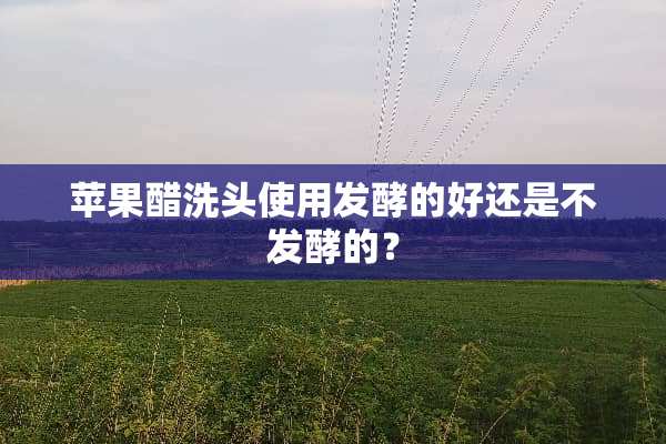 苹果醋洗头使用发酵的好还是不发酵的？