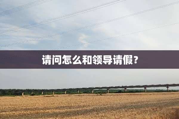 请问怎么和领导请假？