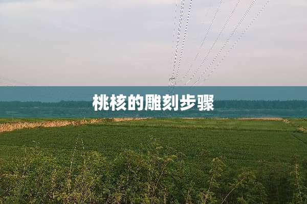 桃核的雕刻步骤