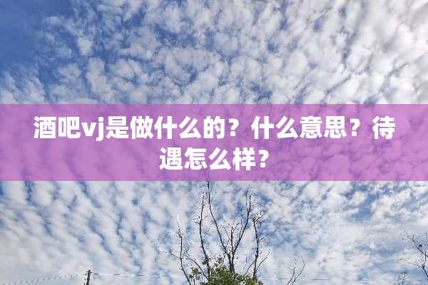 酒吧vj是做什么的？什么意思？待遇怎么样？