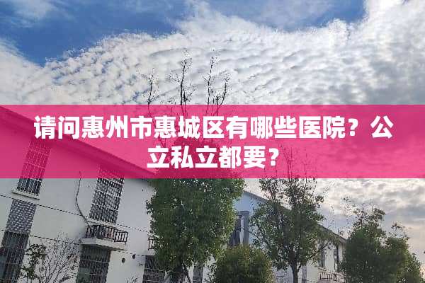 请问惠州市惠城区有哪些医院？公立私立都要？