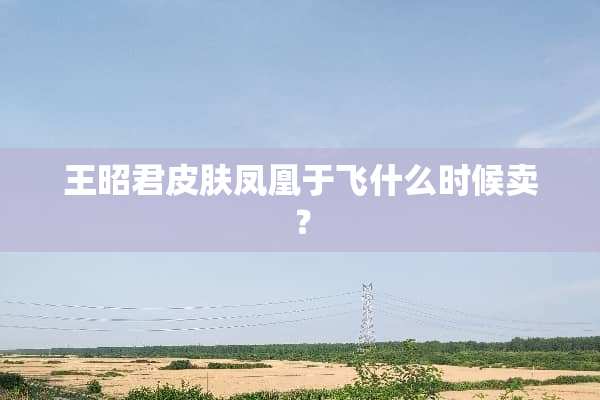 王昭君皮肤凤凰于飞什么时候卖？