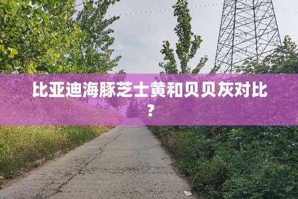 比亚迪海豚芝士黄和贝贝灰对比？