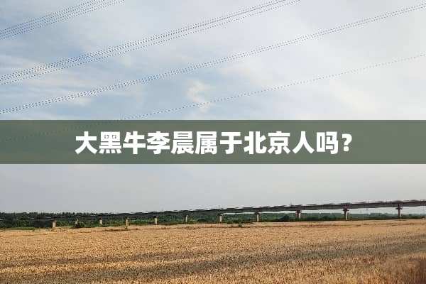 大黑牛李晨属于北京人吗？