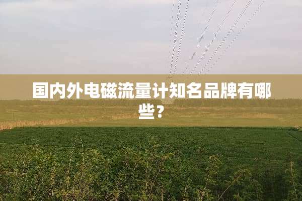 国内外电磁流量计知名品牌有哪些？