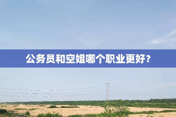 公务员和空姐哪个职业更好？