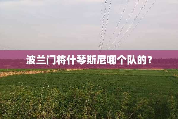 波兰门将什琴斯尼哪个队的？