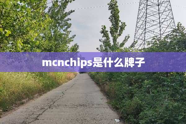 mcnchips是什么牌子