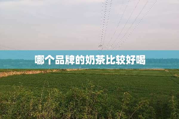 哪个品牌的奶茶比较好喝