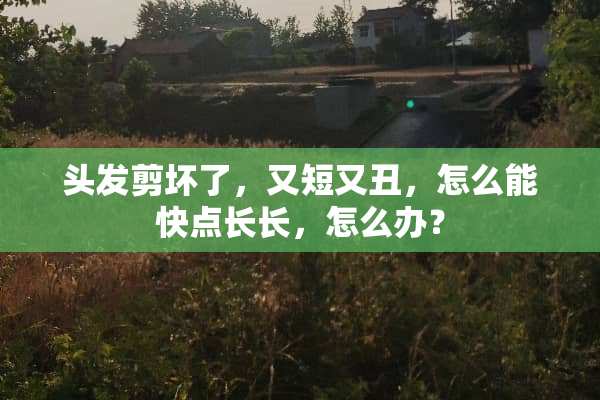 头发剪坏了，又短又丑，怎么能快点长长，怎么办？