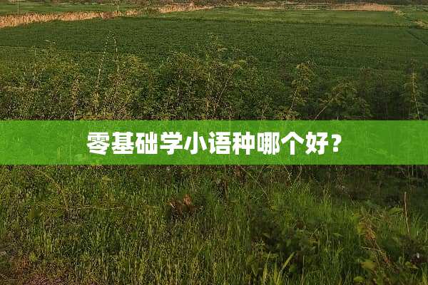 零基础学小语种哪个好？