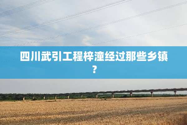 四川武引工程梓潼经过那些乡镇？