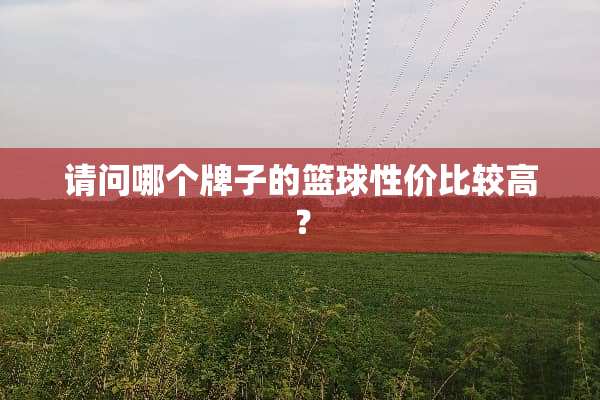 请问哪个牌子的篮球性价比较高？