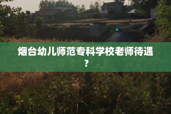 烟台幼儿师范专科学校老师待遇？