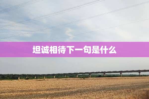 坦诚相待下一句是什么