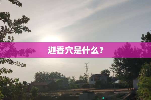 迎香*是什么？