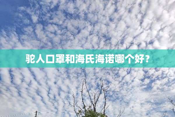 驼人口罩和海氏海诺哪个好？