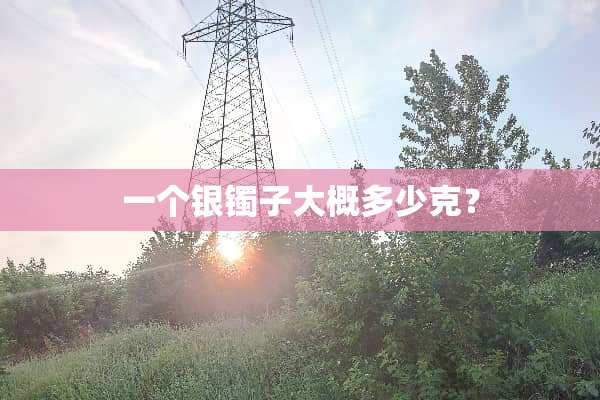 一个银镯子大概多少克？