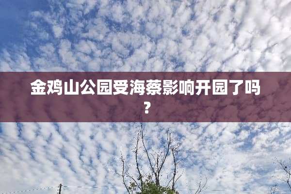 金鸡山公园受海蔡影响开园了吗？