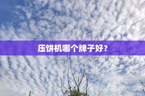 压饼机哪个牌子好？