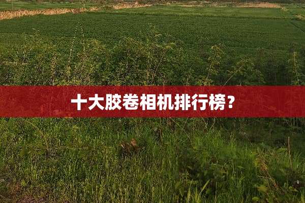 十大胶卷相机排行榜？