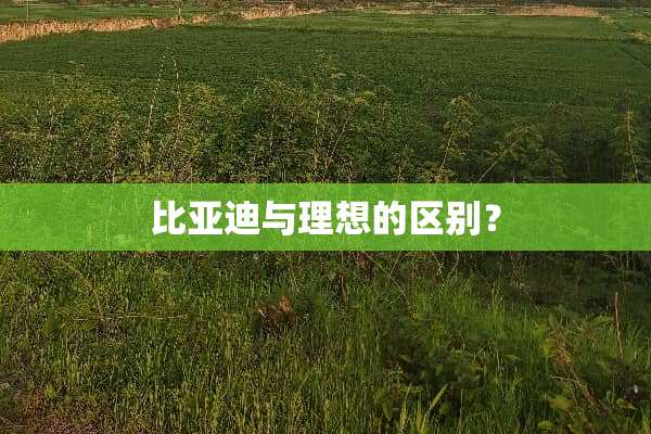 比亚迪与理想的区别？